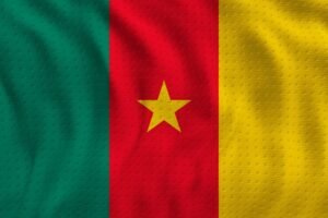 Picture of T / Cameroon